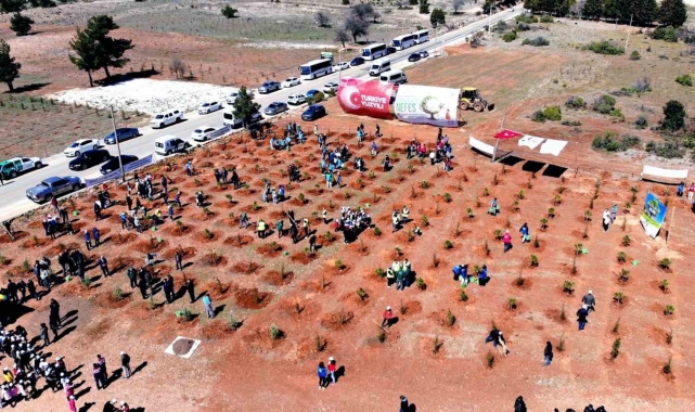 Muğla'nın 11 ilçesinde, 11 Kasım'da, saat 11.11'de binlerce fidan toprakla buluşacak