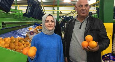 Narenciyede ihracat hızlandı