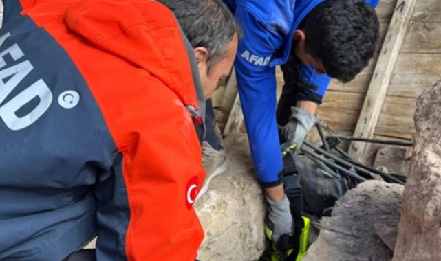 Nevşehir'de 25 metrelik kuyuya düşen kediyi AFAD kurtardı
