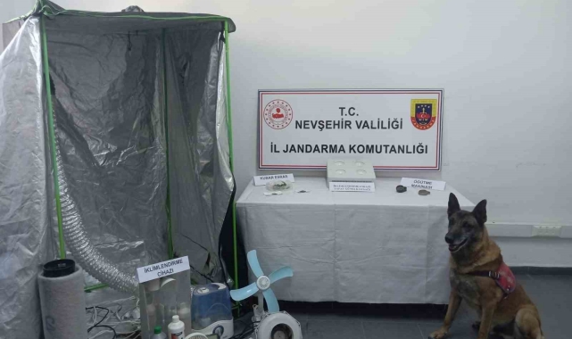 Nevşehir'de "Narkoçelik" operasyonu: 7 gözaltı