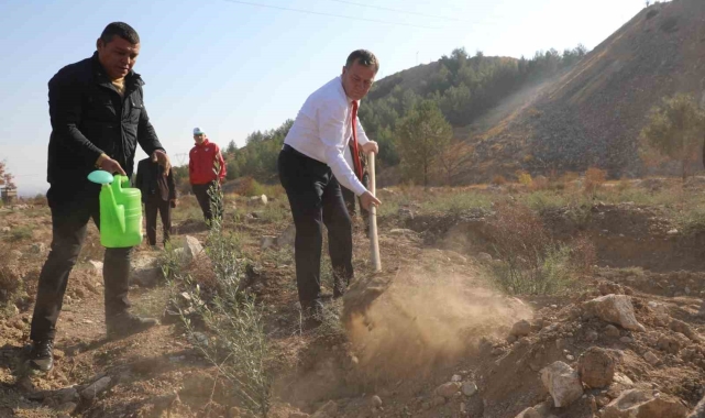 Nizip Belediyesi, bin adet zeytin fidesi dikti