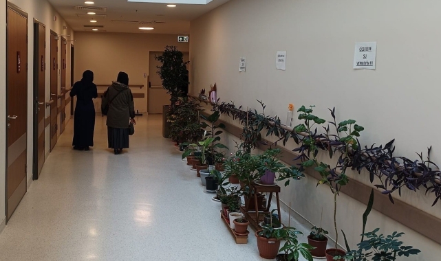 Onkoloji hastalarının motivasyonunu artırmak için koridora botanik bahçe oluşturuldu