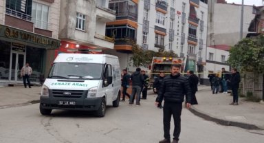 Ordu'da çöp kamyonunun çarptığı kişi öldü