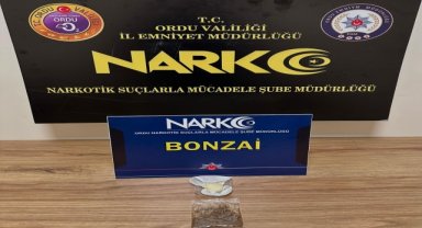 Ordu'da uyuşturucu operasyonunda 2 kişi tutuklandı