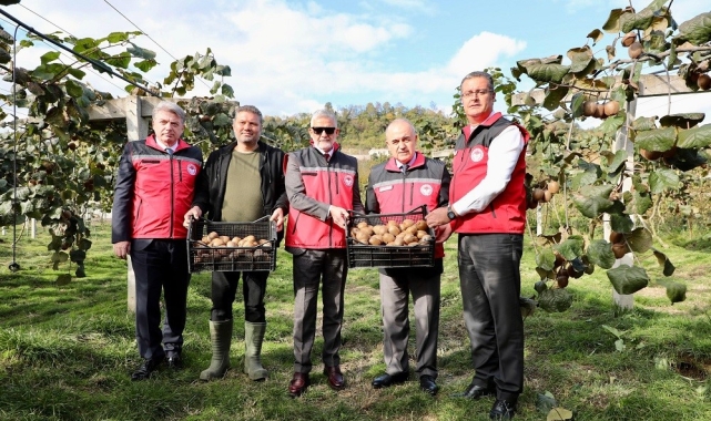 Ordu kivisi, ilin ekonomisine yaklaşık 300 milyon TL katkı sağlayacak