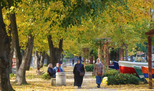Ordu sahilinde 'sonbahar' güzelliği