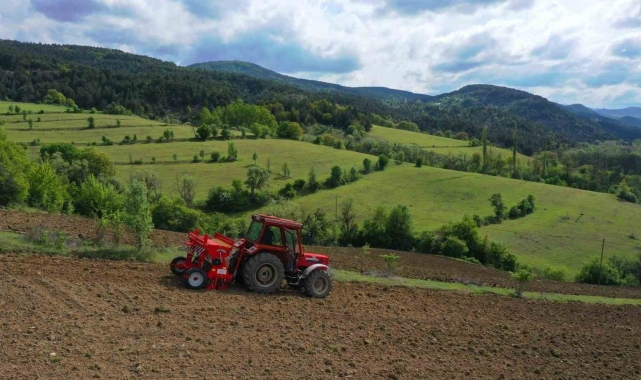 Ordu'da boş arazilerden bugün bereket fışkırıyor