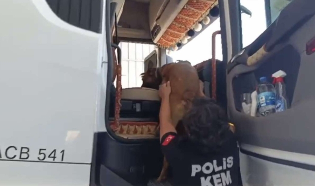 Osmaniye'de uyuşturucu operasyonu: 32 tutuklama
