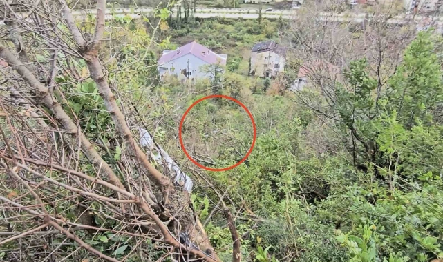 Otomobili ile 25 metre yüksekten uçuruma uçtu, burnu bile kanamadan kurtuldu
