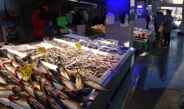 Palamut tezgahlarda yerini hamsiye bırakıyor
