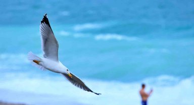 Rus turist fırtınanın oluşturduğu dev dalgalar arasında denize girdi, ceket giyenlere güldü