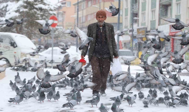Rüyasında aldığı emirle 20 yıldır her gün kuşları besliyor