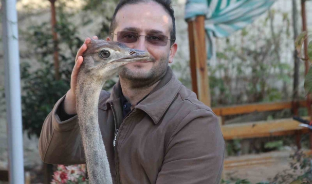 Sahibinden cep telefonuyla takaslı deve kuşu