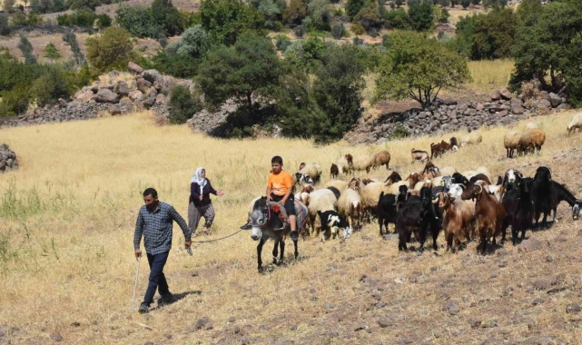 Şahinbey Belediyesi'nin destekleri ile hayvan yetiştiriciliği arttı