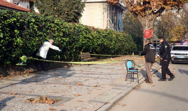 Sakarya'da kadın cinayeti