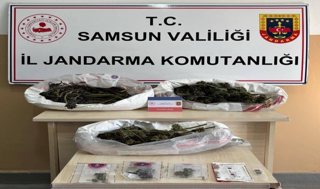 Samsun'da 627 gram kubar esrar ele geçirildi