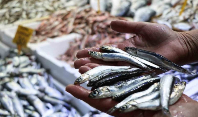 Samsun'dan 62,4 milyon dolar ve 18 milyon euroluk hayvansal ürün ihracatı