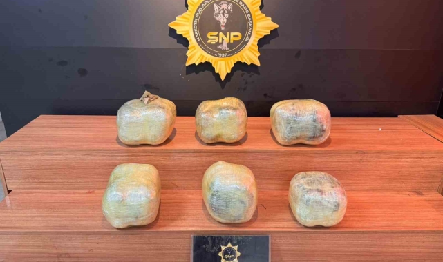 Şanlıurfa'da 14 kilo 450 gram skunk ele geçirildi