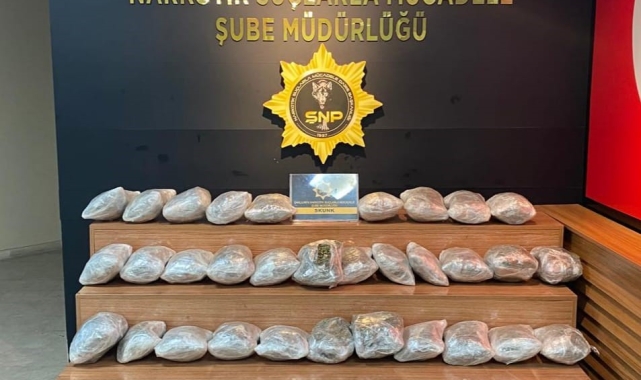 Şanlıurfa'da 29 kilogram skunk ele geçirildi: 1 gözaltı