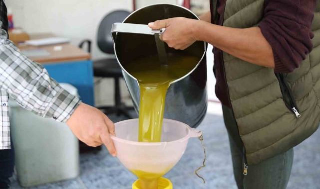 Seferihisar'da zeytinyağı sezonu açıldı