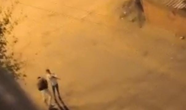 Şehir magandası gözaltına alındı