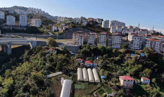 Şehir merkezinde apartmanlar arasında organik tarım yapıyorlar