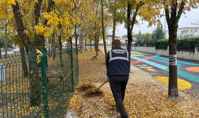 Serdivan'da sonbahar temizliği