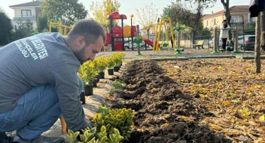 Serdivan'ın yeşil alanları güzelleşiyor