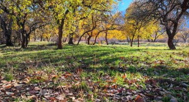 Siirt Zarova Çayı'nda renk cümbüşü