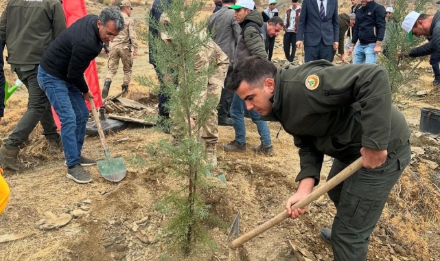 Sincik'te 100 fidan toprakla buluştu