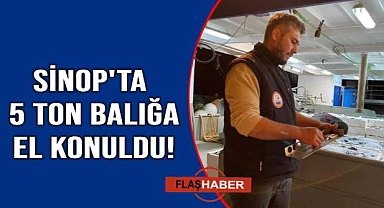 Sinop'ta balık boyu denetimleri