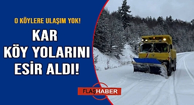 Sinop'ta kar yağışı hayatı felç etti