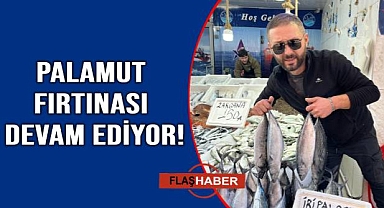 Sinop’ta palamut bereketi:Tezgahlar dolup taşıyor