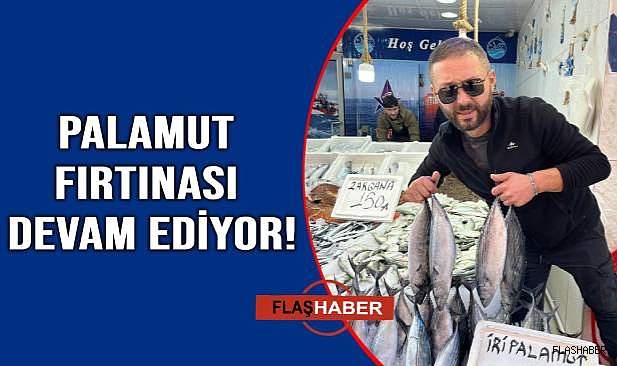 Sinop’ta palamut bereketi:Tezgahlar dolup taşıyor