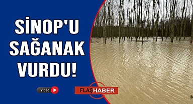 Sinop'ta taşan dereler tarım arazilerini yuttu