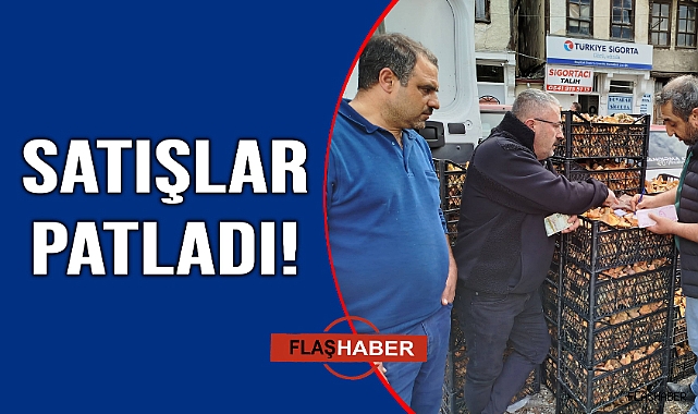 Sinop'ta toplanan mantarlar Türkiye'nin farklı kentlerine gönderiliyor