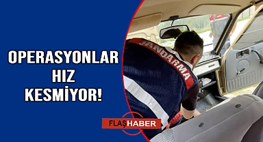 Sinop'ta zehire geçit yok