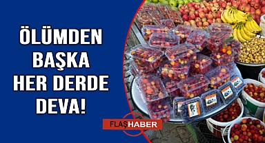 Sinop'un gizli hazinesi tezgaha indi