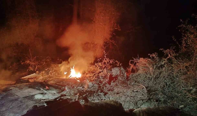 Sinop'ta ormanlık alanda yangın