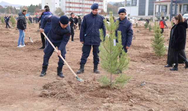 Sivas'ın ormanlık alanı 504 bin dekara yükseldi