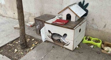 Soğuk havalarda can dostlarını unutmadılar