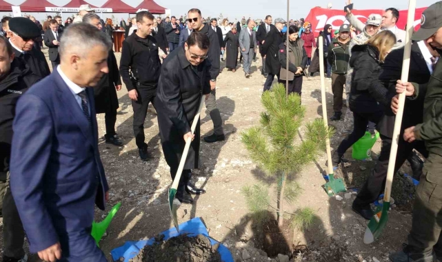 Son 5 yılda Kütahya'da 110 milyon 757 bin 317 fidan toprakla buluşturuldu
