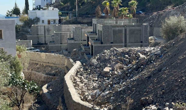 Suavi'nin Bodrum'daki arazisinde 40 ağaç kesildi