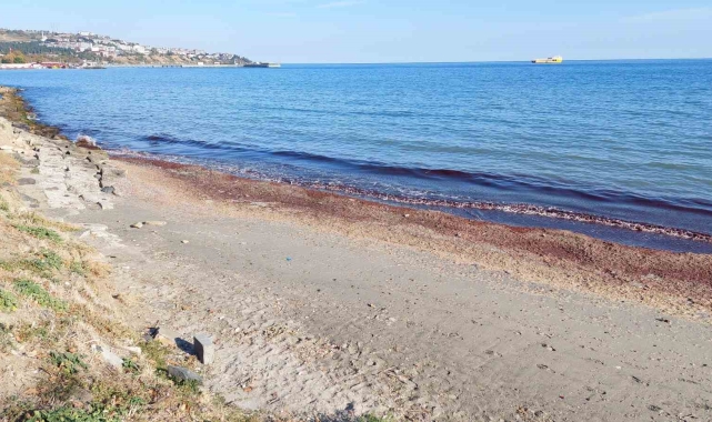 Tekirdağ'da kıyı kızıla boyandı