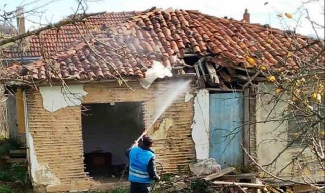 Tekkeköy'de istilacı kahverengi kokarcaya karşı savaş açıldı