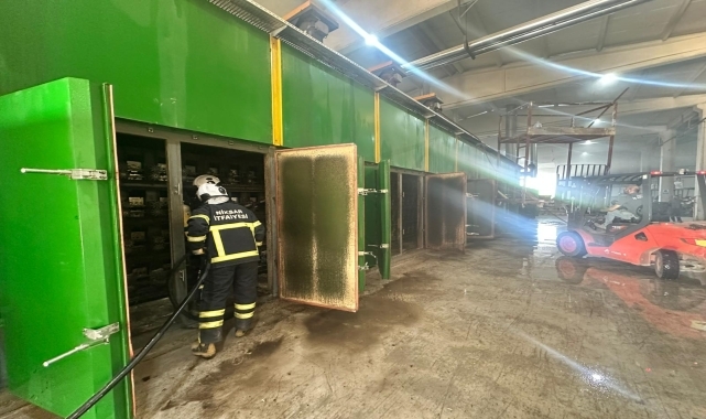 Tokat'ta kereste ve kontrplak fabrikasında çıkan yangın hasara yol açtı