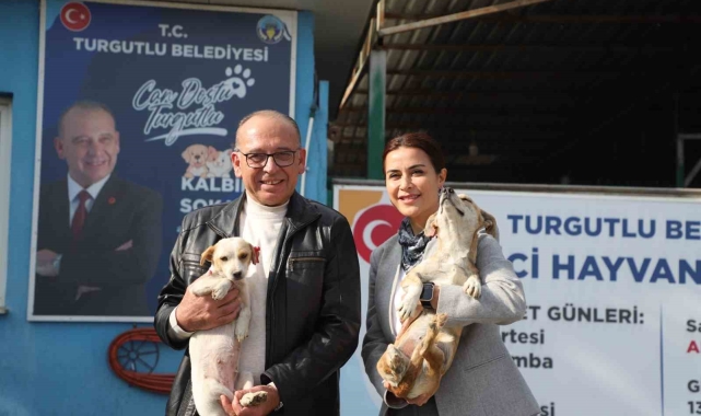Turgutlu'da online hayvan sahiplendirme sistemi hizmete sunuldu