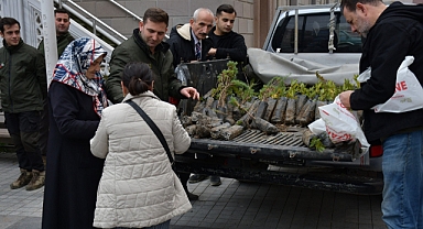 Türkeli'de vatandaşlara ücretsiz fidan dağıtıldı