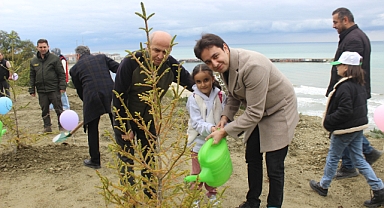 Türkeli'de yüzlerce fidan toprakla buluştu