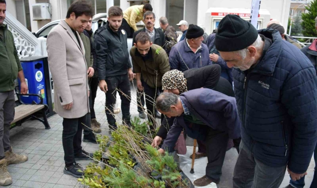 Türkeli'de vatandaşlara ücretsiz fidan dağıtıldı